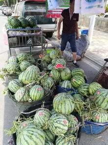 务川网红吃瓜事件,揭秘网络舆论的风暴与反思