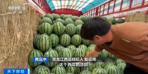 横店吃瓜,吃瓜群众的味蕾盛宴