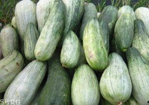 小酥瓜可以吃吗,美味还是禁忌？探究其食用安全与口感之谜