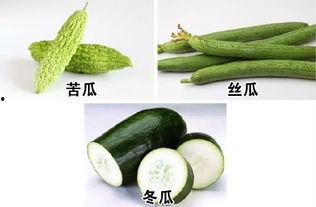 入伏吃瓜享清冷