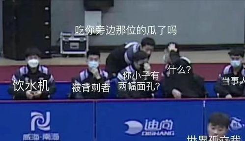 国乒队员集体吃瓜