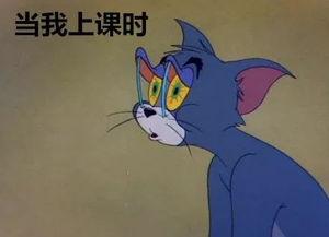 上课日常吃瓜,揭秘校园里的那些“吃瓜”日常