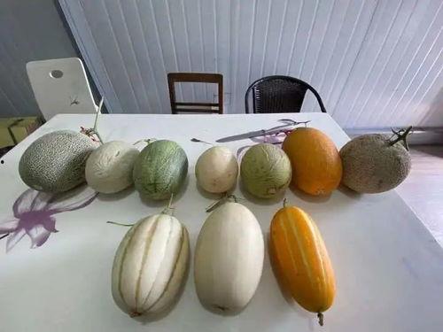 么哈杭州吃瓜,揭秘网络热点背后的故事