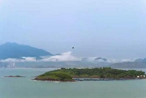 星屿海吃瓜,揭秘娱乐圈的“吃瓜”盛宴