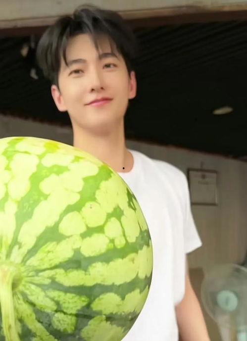 杨洋吃瓜图片,瓜王降临！