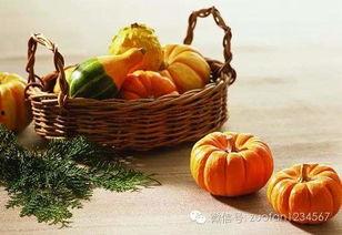 品秋吃瓜,尽享丰收时光