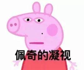 吃瓜佩奇,揭秘娱乐圈的“瓜田”趣事