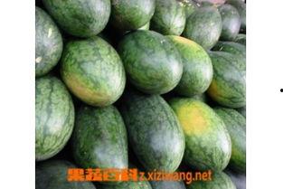 孕妇可吃美人瓜,美人瓜助力孕期营养健康