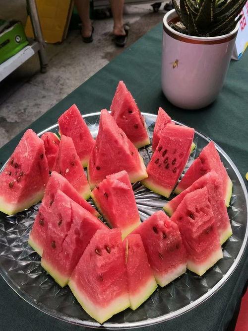 宁夏花式吃瓜,创意无限的花式吃瓜体验