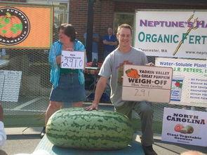 成为吃瓜群众照片的人,吃瓜群众视角下的生活百态