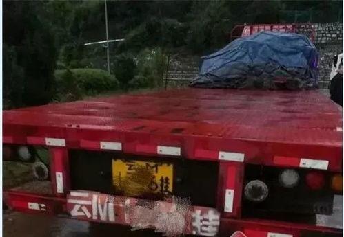 吃瓜撞车交警,交警现场调解，一幕温馨上演