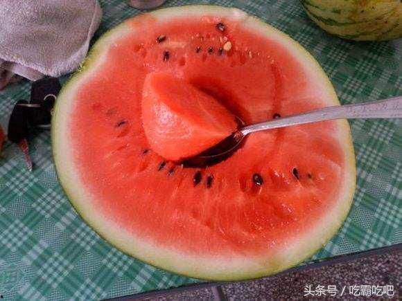 日瓜可以怎么吃,创意料理新体验