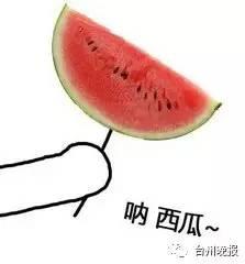 吃瓜西瓜日记,西瓜的甜蜜生活与成长故事