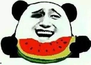 修真界的吃瓜群众,吃瓜群众眼中的修真江湖