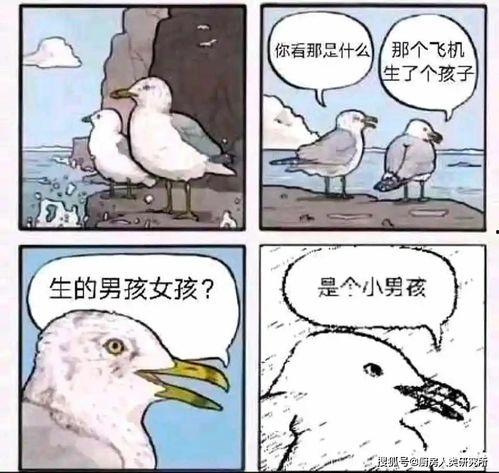 文明吃瓜理性吃瓜的意思,吃瓜指南