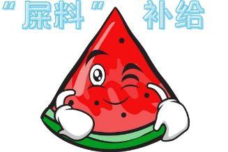 小宝阿飞现场吃瓜,揭秘娱乐圈幕后真相