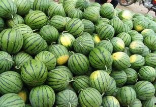 吃瓜的更多,吃瓜群众背后的故事与真相