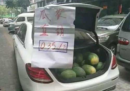 买瓜吃,探寻夏日消暑美食之旅