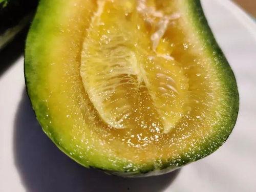 云兰吃瓜,揭秘娱乐圈背后的秘密与真相