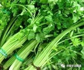 立秋吃韭菜不吃瓜,韭菜当道，瓜果退场