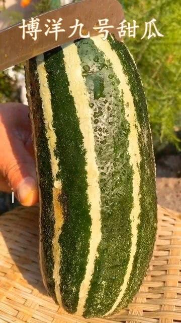 无瓜可吃怎么吃,创意美食新体验