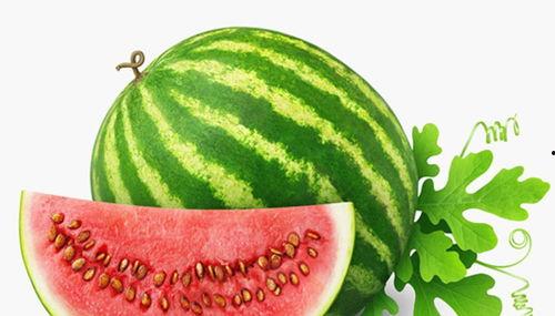 孕妇梦到在地里摘瓜吃瓜