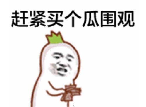 吃瓜表情怎么理解,网络社交中的趣味解读