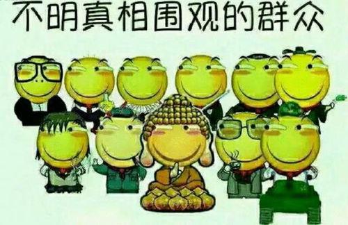 人生bug吃瓜群众,吃瓜群众的趣味解读