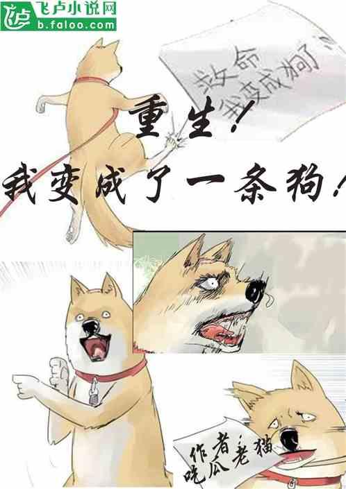 吃瓜解说小说大全,小说世界里的趣味解读大全